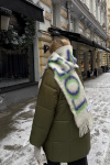 Пуховик Vert